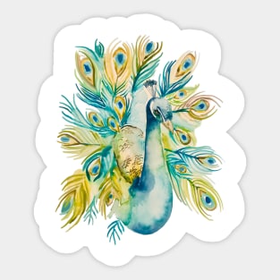 Stunning Watercolor Peacock Sticker